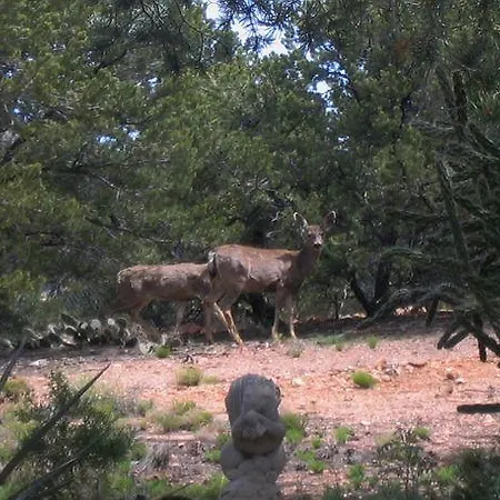 Moonstar Four-Bedroom Holiday Home Holiday home Santa Fe